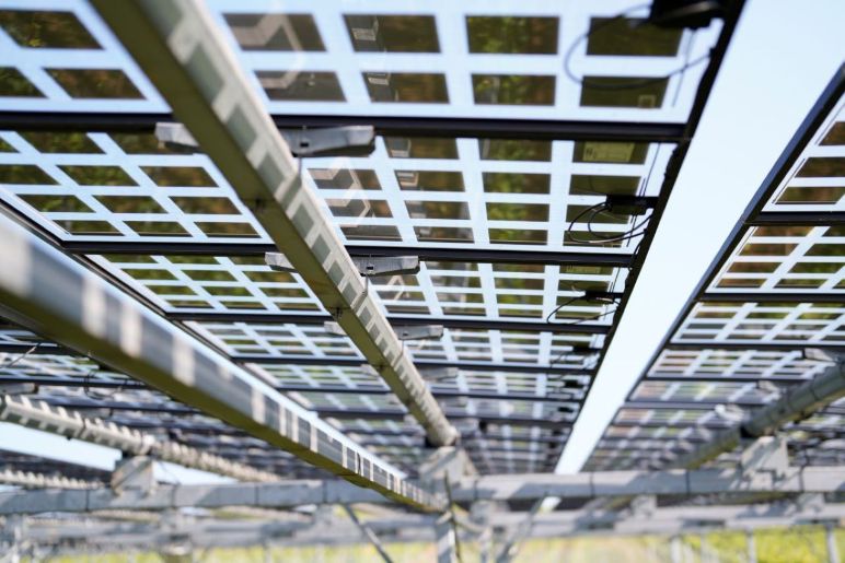 Sustainable Cable Management Solutions for Your Agri-Photovoltaic Projects