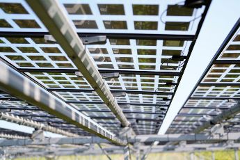Sustainable Cable Management Solutions for Your Agri-Photovoltaic Projects