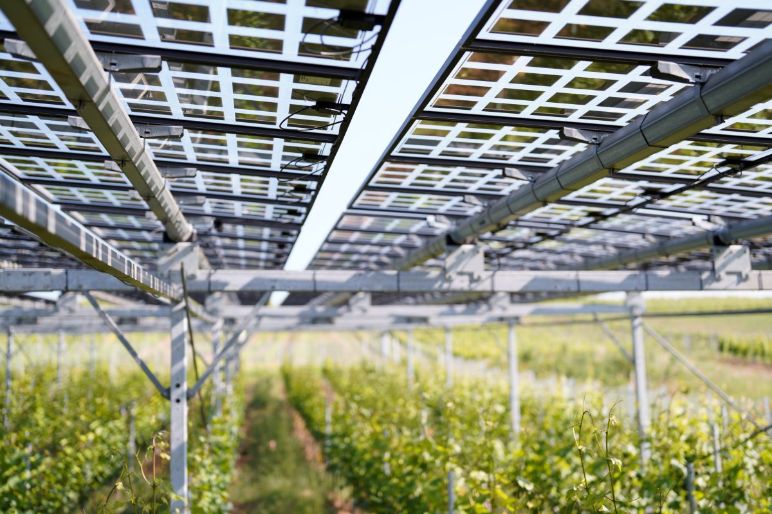 cable‑management solutions for modern AgriPV tracking systems