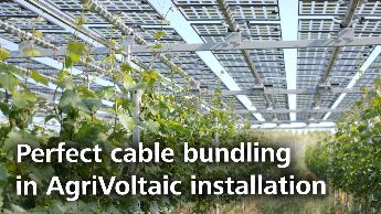 Perfect cable bundling in AgriVoltaic installation with HellermannTyton products