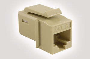 Category 6 UTP Jack in Ivory