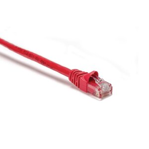 Patch cords comply with all industry standards including ANSI/TIA-568-C.