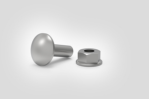 Flange Nut and Coach Bolt Kit.