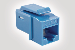 Category 6 UTP Jack in Blue