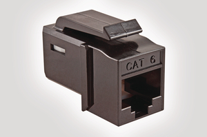 Category 6 UTP Jack in Brown