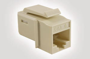 Category 6 UTP Jack in Office White