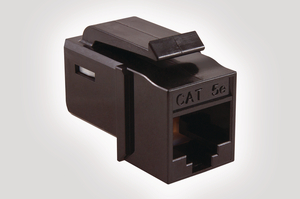 Category 5e UTP Jack in Blue