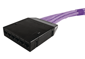 RapidNet 6 Port Category 6A UTP Cassette