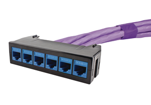 RapidNet 6 Port Category 6A UTP Short Body Cassette