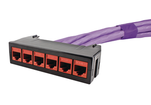 RapidNet 6 Port Category 6A UTP Short Body Cassette