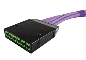 RapidNet 6 Port Category 6A UTP Cassette