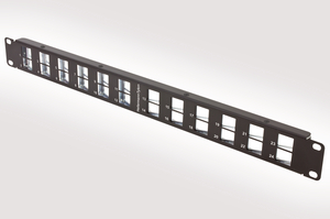 Modular Angled Shielded 24 Port Panel.