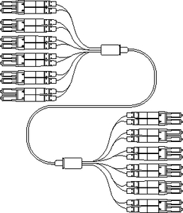 Example of LC to LC Fan Out (12 Core shown)