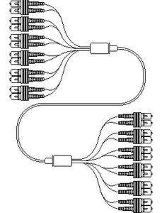 Example of SC to SC Fan Out (12 Core shown)
