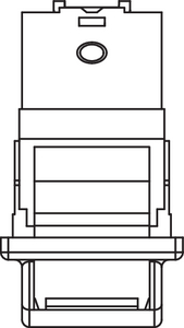 Category 5e angled 6C Module (top view)