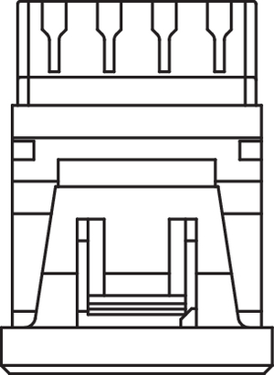 Category 6 Module (top view)