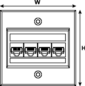 Category 5e 4 Port Module (front view)