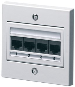 4 Port Category 6 Outlet