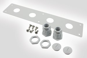 BFP building flexibility point bulkhead plate