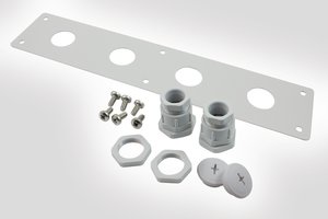 BFP building flexibility point bulkhead plate