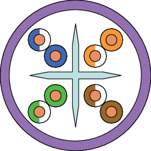 Category 6 LS0H U/UTP Unshielded Cable
