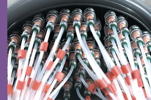 Connectivity